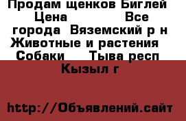 Продам щенков Биглей › Цена ­ 15 000 - Все города, Вяземский р-н Животные и растения » Собаки   . Тыва респ.,Кызыл г.